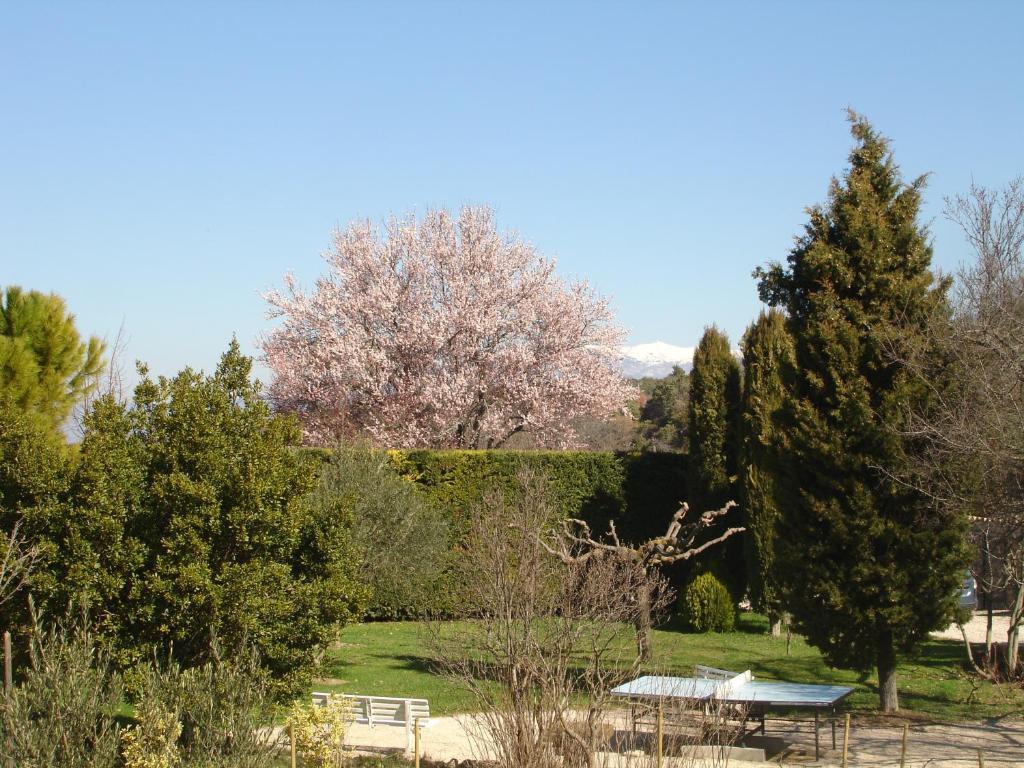 Hotel Domaine De La Grange Neuve La Roque-sur-Pernes Esterno foto